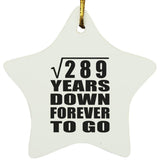 17th Anniversary Square Root of 289 Years Down Forever To Go - Star Ornament