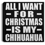 All I Want For Christmas Is My Chihuahua - Canvas Square