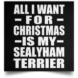 All I Want For Christmas Is My Sealyham Terrier - Poster Square