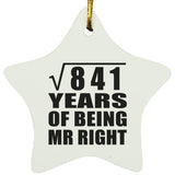 29th Anniversary Square Root of 841 Years of Being Mr Right - Star Ornament