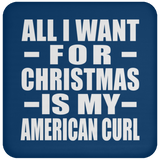 All I Want For Christmas Is My American Curl - Coaster