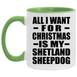 All I Want For Christmas Is My Shetland Sheepdog - 11oz Accent Mug Green