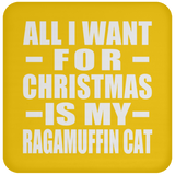 All I Want For Christmas Is My Ragamuffin Cat - Coaster