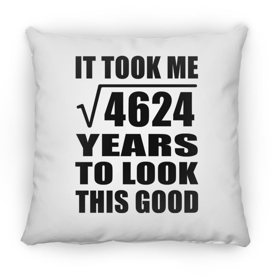 68th Birthday Took Square Root of 4624 Years To Look Good - Throw Pillow
