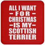 All I Want For Christmas Is My Scottish Terrier - Coaster