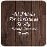 All I Want For Christmas Is My Treeing Tennessee Brindle - Drink Coaster D