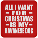 All I Want For Christmas Is My Havanese Dog - Coaster