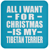 All I Want For Christmas Is My Tibetan Terrier - Coaster