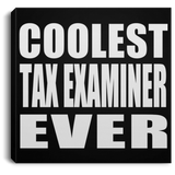 Coolest Tax Examiner Ever - Canvas Square
