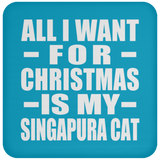 All I Want For Christmas Is My Singapura Cat - Coaster