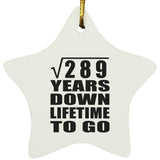 17th Anniversary Square Root of 289 Years Lifetime To Go - Star Ornament