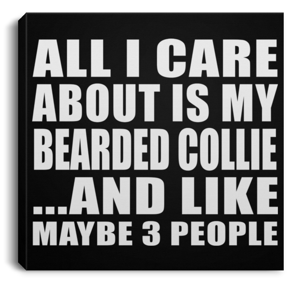 All I Care About Is My Bearded Collie - Canvas Square