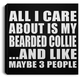 All I Care About Is My Bearded Collie - Canvas Square