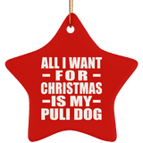 All I Want For Christmas Is My Puli Dog - Star Ornament