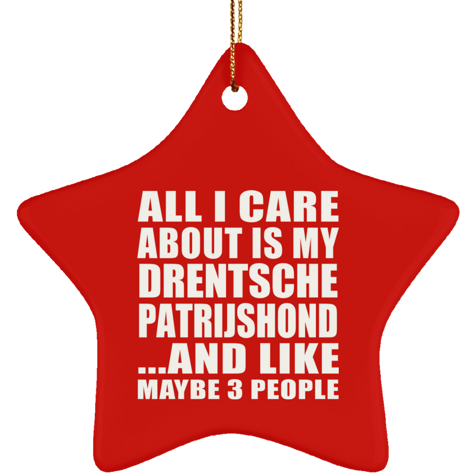 All I Care About Is My Drentsche Patrijshond - Star Ornament