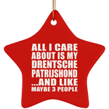 All I Care About Is My Drentsche Patrijshond - Star Ornament