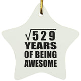 23rd Birthday Square Root of 529 Years of Being Awesome - Star Ornament