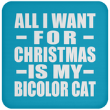 All I Want For Christmas Is My Bicolor Cat - Coaster