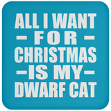 All I Want For Christmas Is My Dwarf Cat - Coaster