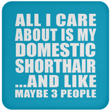 All I Care About Is My Domestic Shorthair - Drink Coaster