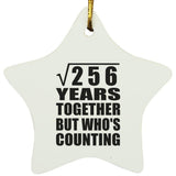 16th Anniversary Square Root of 256 Years Who's Counting - Star Ornament