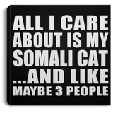All I Care About Is My Somali Cat - Canvas Square