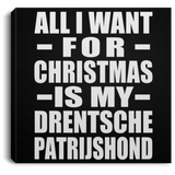All I Want For Christmas Is My Drentsche Patrijshond - Canvas Square