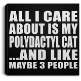 All I Care About Is My Polydactyl Cat - Canvas Square