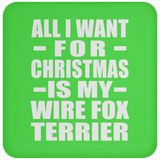 All I Want For Christmas Is My Wire Fox Terrier - Coaster