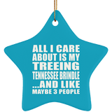 All I Care About Is My Treeing Tennessee Brindle - Star Ornament