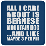 All I Care About Is Bernese Mountain Dog - Drink Coaster