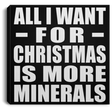 All I Want For Christmas Is More Minerals - Canvas Square