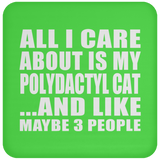 All I Care About Is My Polydactyl Cat - Drink Coaster