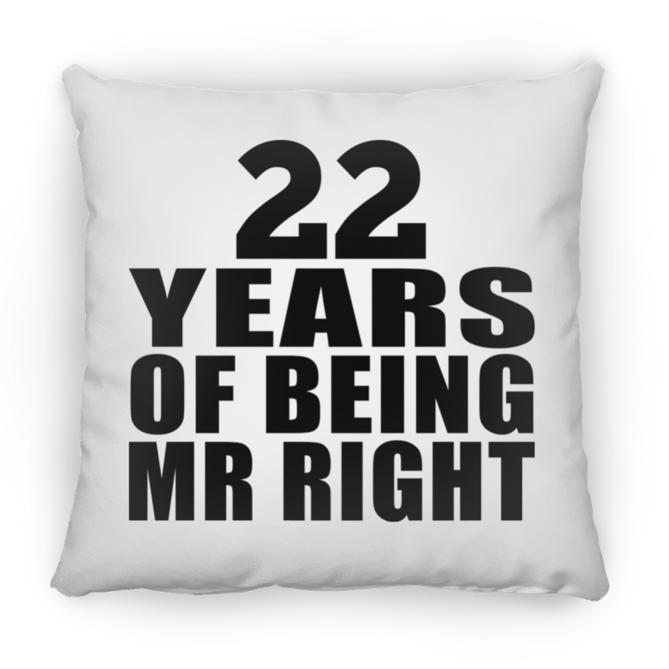 22nd Anniversary 22 Years Of Being Mr Right - Throw Pillow