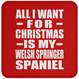 All I Want For Christmas Is My Welsh Springer Spaniel - Coaster
