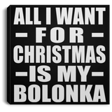 All I Want For Christmas Is My Bolonka - Canvas Square