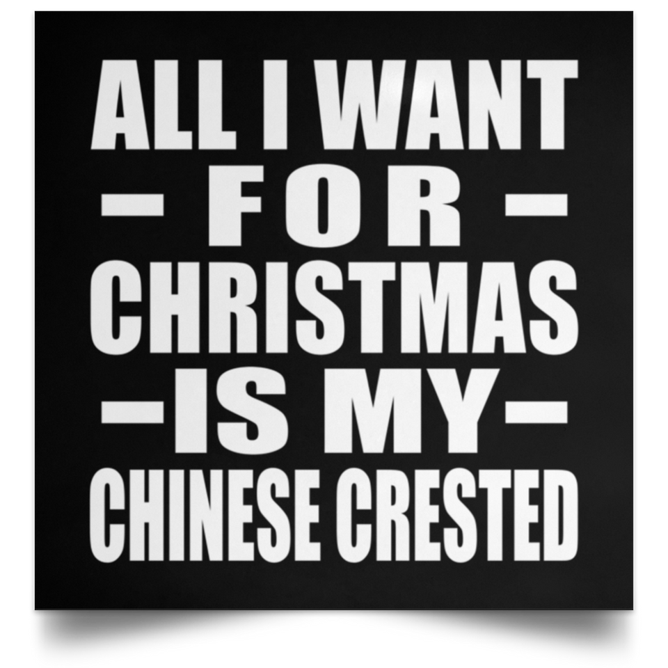 All I Want For Christmas Is My Chinese Crested - Poster Square