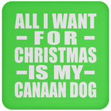 All I Want For Christmas Is My Canaan Dog - Coaster