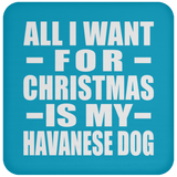 All I Want For Christmas Is My Havanese Dog - Coaster