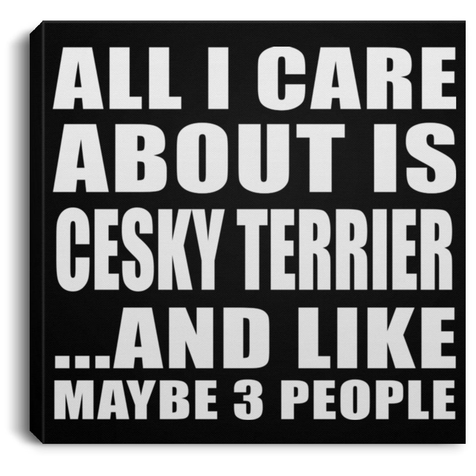 All I Care About Is Cesky Terrier - Canvas Square