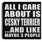 All I Care About Is Cesky Terrier - Canvas Square