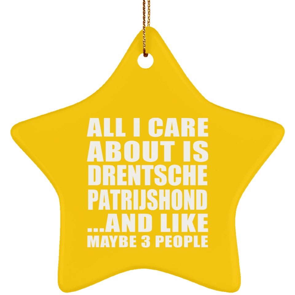 All I Care About Is Drentsche Patrijshond - Star Ornament