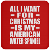 All I Want For Christmas Is My American Water Spaniel - Coaster