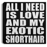 All I Need Is Love And My Exotic Shorthair - Canvas Square