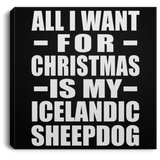 All I Want For Christmas Is My Icelandic Sheepdog - Canvas Square