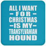 All I Want For Christmas Is My Transylvanian Hound - Coaster