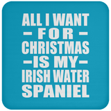 All I Want For Christmas Is My Irish Water Spaniel - Coaster