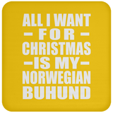 All I Want For Christmas Is My Norwegian Buhund - Coaster