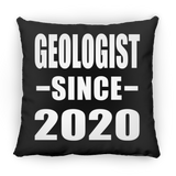 Geologist Since 2020 - Throw Pillow Black