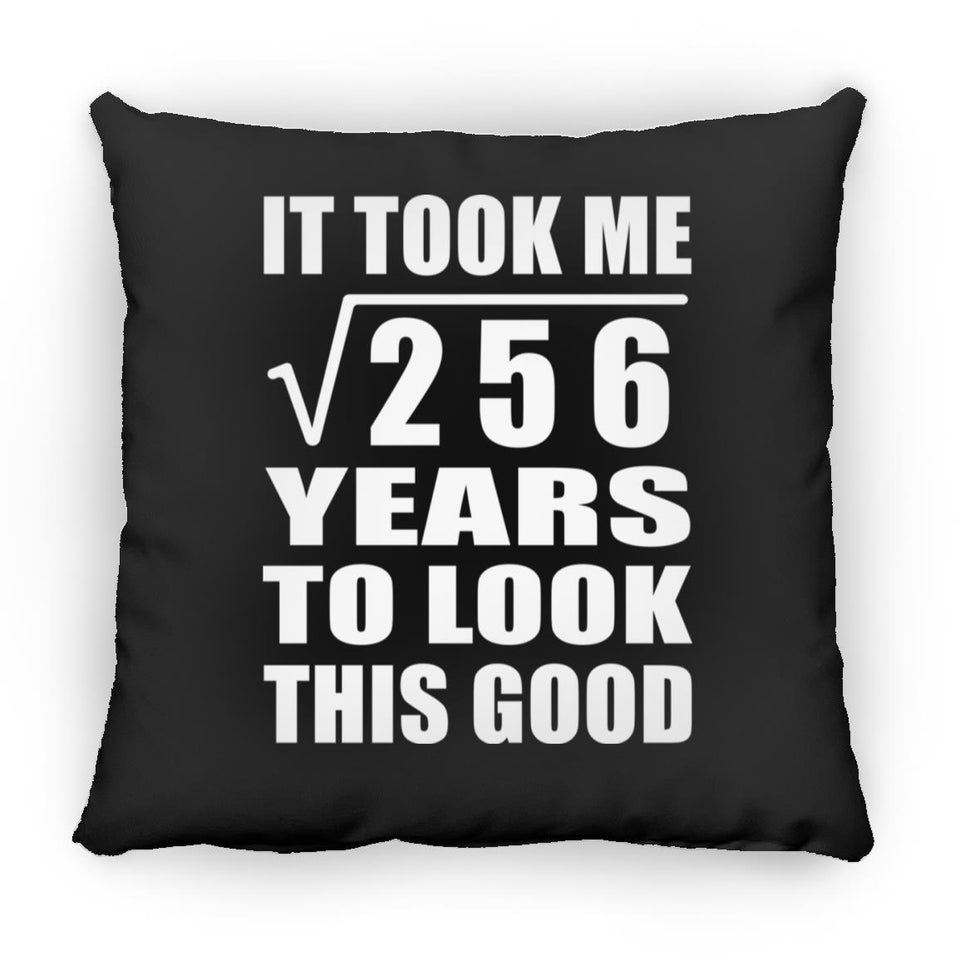 16th Birthday Took Square Root of 256 Years To Look Good - Throw Pillow Black